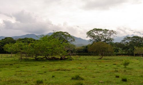 venta de lote independiente en Pance sur de Cali