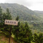 finca cafetera en venta en la leonera