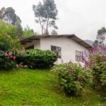 finca cafetera en venta en la leonera